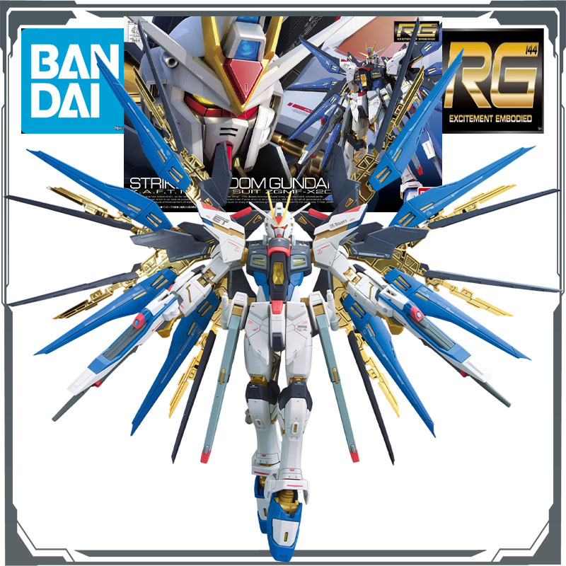 Bandai Gundam Rg - BANDAI RG Real Grade 1/144 ZGMF-X20A